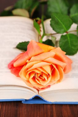 Ahşap masa, closeup kitap ile güzel gül