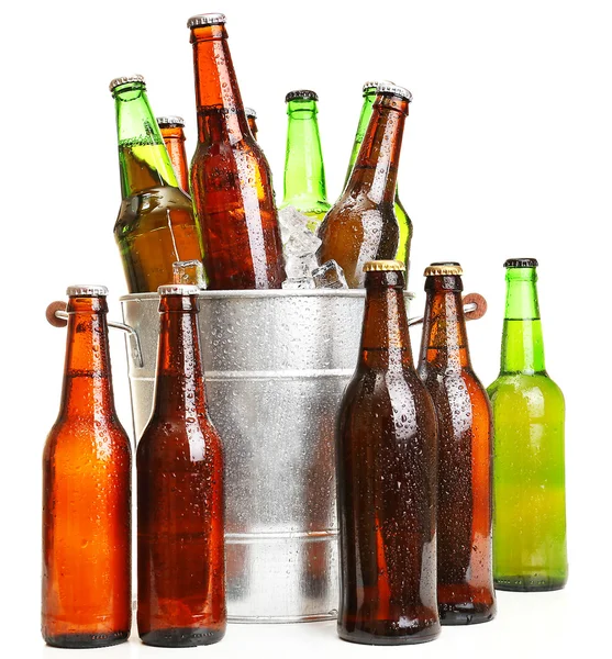 Glasflaskor öl i metall hink isolerad på vit — Stockfoto