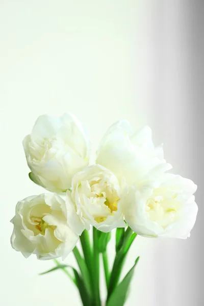 Beautiful white tulips, closeup — Stock Photo, Image