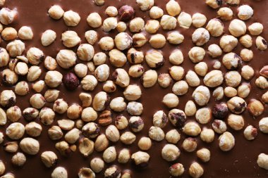 Fındık ile sütlü çikolata bar yakın çekim