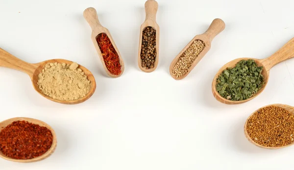 Olika kryddor och örter i träskedar isolerad på vit — Stockfoto
