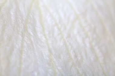 Beyaz gül yaprağı yakın çekim