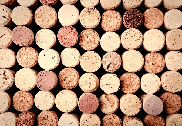 Wine corks close up — Stock Photo, Image