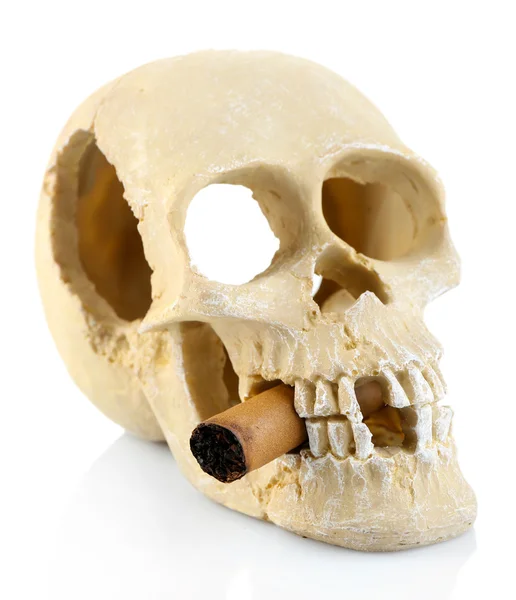 Fumar scull humano com charuto na boca, isolado em branco — Fotografia de Stock