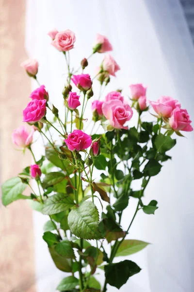 Hermosas rosas rosadas sobre fondo brillante — Foto de Stock
