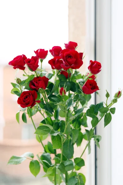 Belle rose rosse su sfondo luminoso — Foto Stock