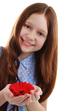 Çiçekli beyaz izole güzel küçük kız