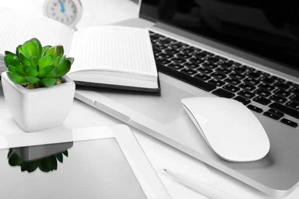Office workplace with tablet and pot plant close up — Stock Photo, Image