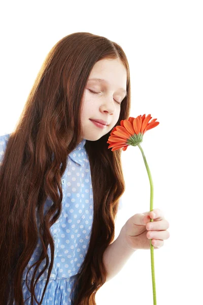 Vacker liten flicka med blomma, isolerad på vit — Stockfoto