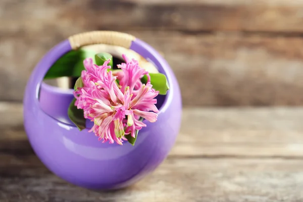 Hermosa flor de jacinto sobre fondo de madera — Foto de Stock