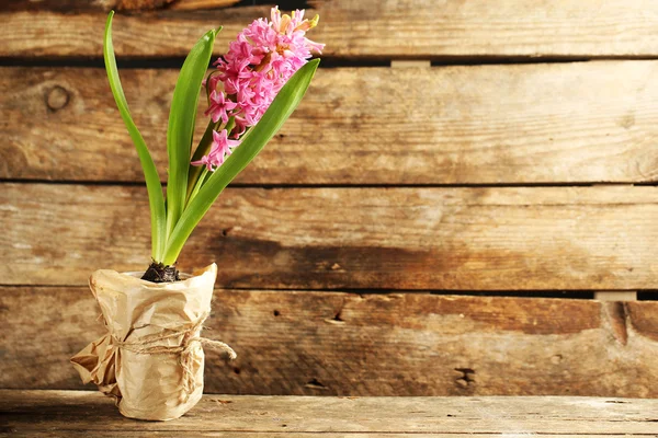 木製の背景に美しいヒアシンスの花 — ストック写真