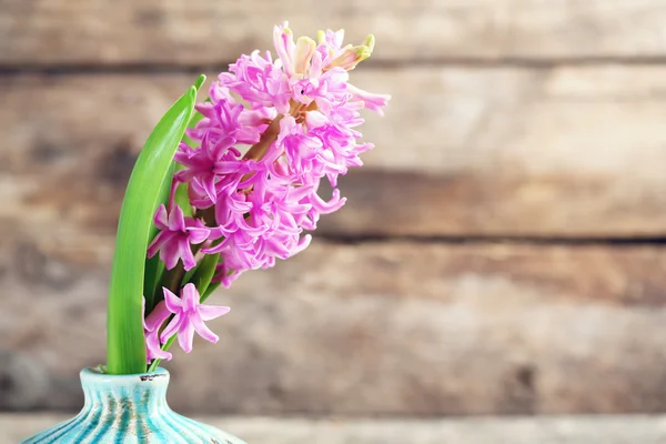 Piękny kwiat hiacyntu w wazonie na drewniane tła — Zdjęcie stockowe