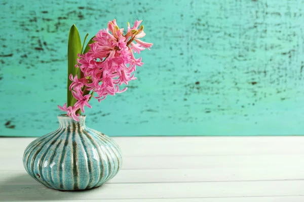 Vacker hyacint blomma i vasen på träbord — Stockfoto