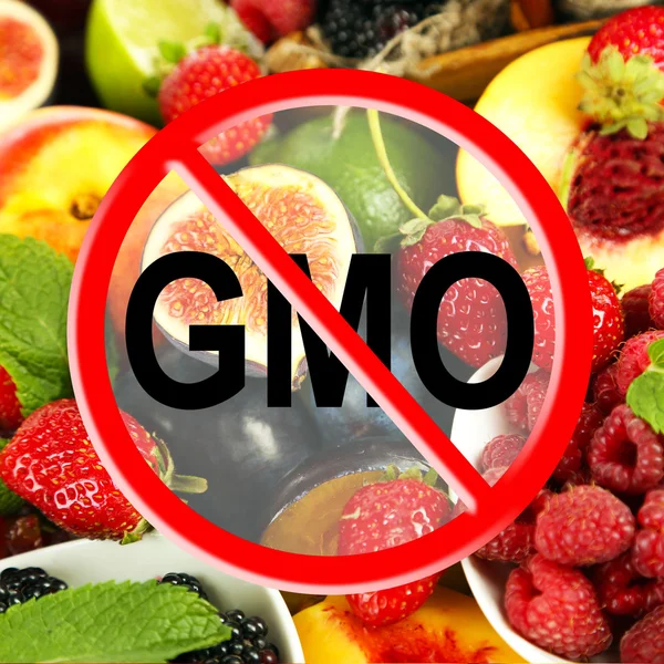 Färska frukter och bär utan gmo — Stockfoto