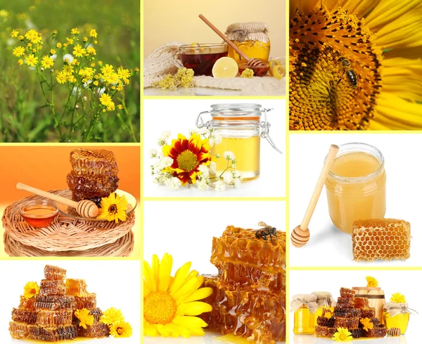 Pszczelarstwo kolaż — Zdjęcie stockowe