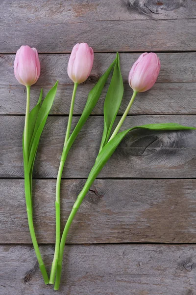 Schöne rosa Tulpen auf Holzplanken Hintergrund — Stockfoto