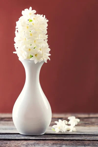 Vacker vit hyacint blomma i vasen på bordet på brun bakgrund — Stockfoto