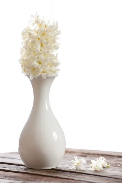 Beautiful white hyacinth flower in vase on windowsill — Stock Photo, Image