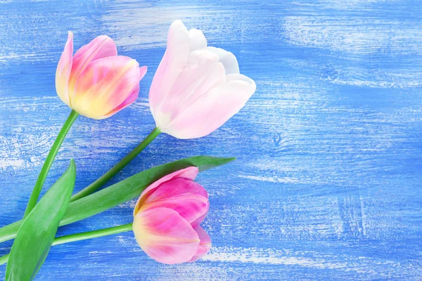 Beautiful tulips on color wooden background — Stock Photo, Image