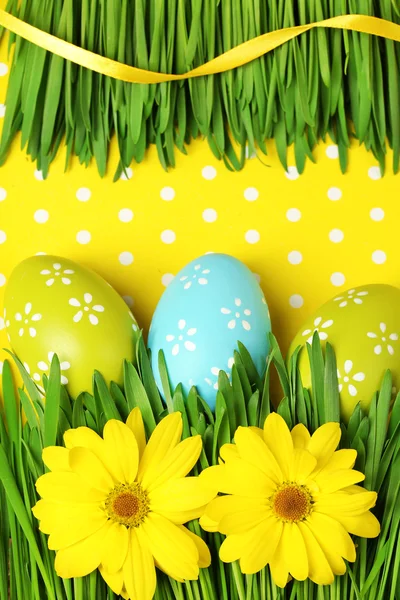 Easter eggs and grass on colorful paper background — Stock Photo, Image