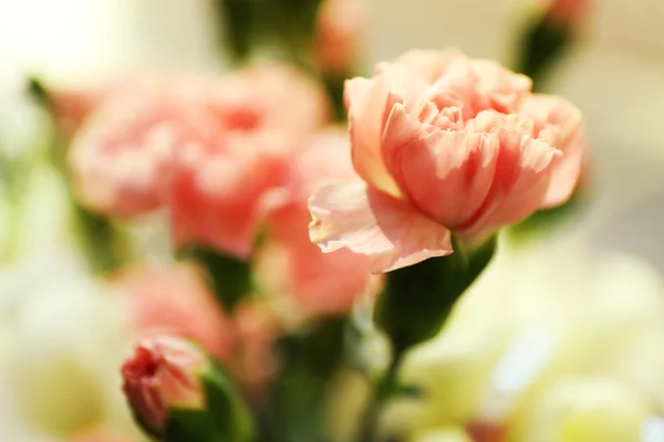 Beautiful pink cloves, closeup — Stock Photo, Image