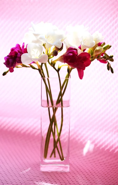 Beautiful spring flowers in glass vase on pink background — Stock Photo, Image