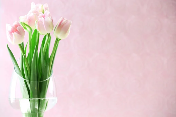 Beautiful spring flowers on pink background — Stock Photo, Image