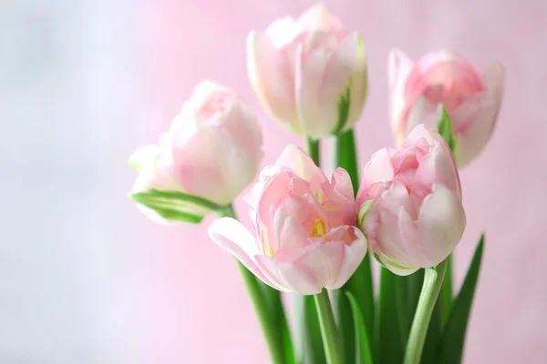 Beautiful spring flowers on light background — Stock Photo, Image