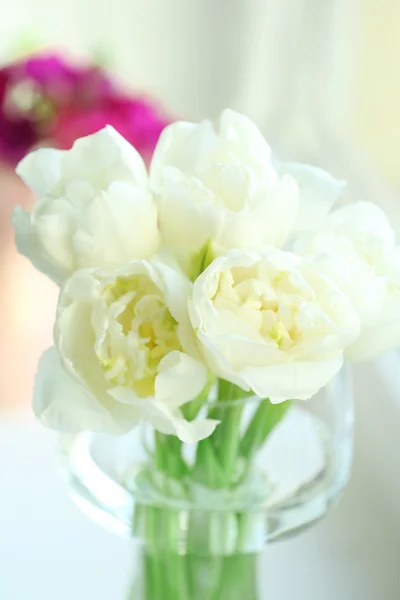 Lindas flores de primavera, close-up — Fotografia de Stock