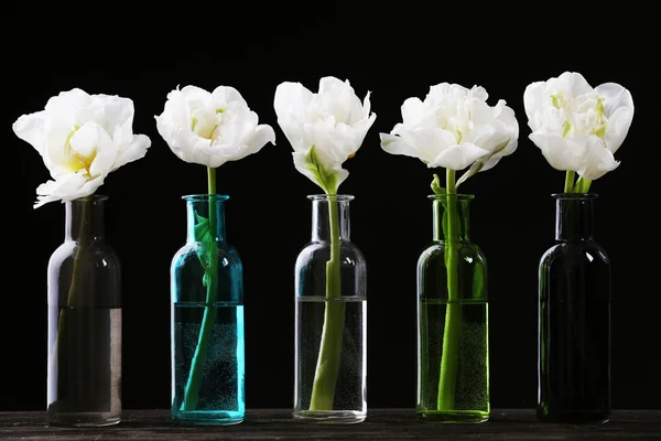 Tulipes fraîches dans des vases en verre sur fond noir — Photo