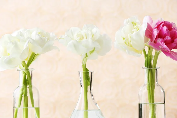 Piękne tulipany w szklane wazony na jasny kolor tła — Zdjęcie stockowe