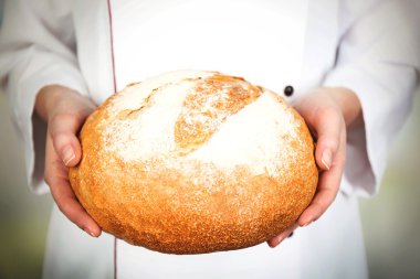 Hafif bulanık arka plan üzerinde kadın elinde taze ekmek