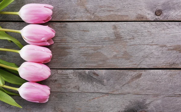 Belles tulipes roses sur fond de planches en bois — Photo