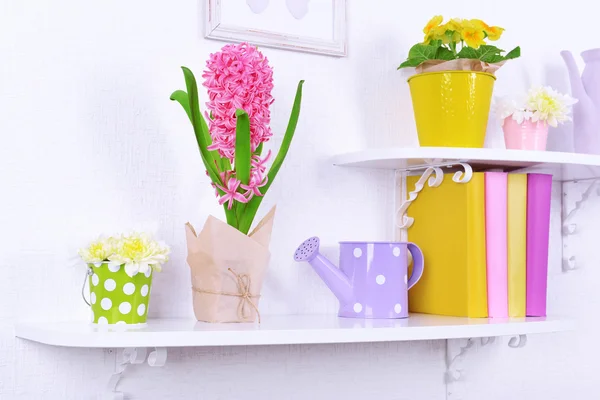 Flower on shelves on white wall background — Stock Photo, Image