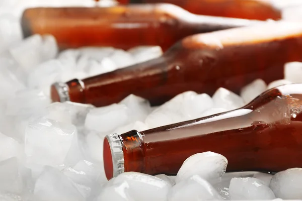 Glass bottles of beer with ice cubes, closeup — Stock Photo, Image