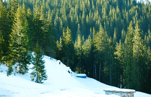 Beautiful view of Carpathian Mountains in wintertime — Stock Photo, Image