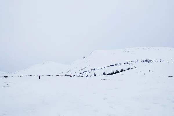 People skiing over snowy mountains and overcast sky in wintertime — Stock Photo, Image