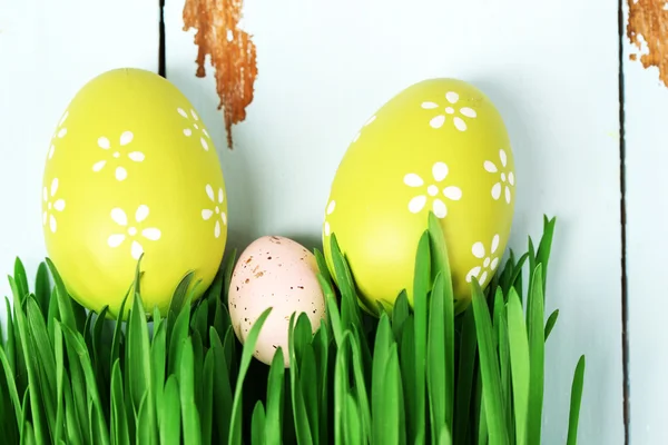 Easter eggs and grass on wooden background — Stock Photo, Image