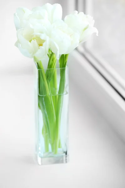 Tulipas brancas bonitas em vaso de vidro no fundo do peitoril da janela — Fotografia de Stock