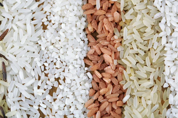 Different types of rice close up — Stock Photo, Image