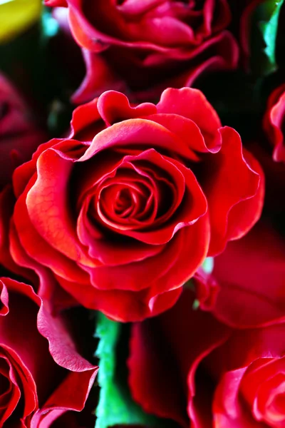 Belle rose rosse in vaso di vetro su sfondo di legno — Foto Stock