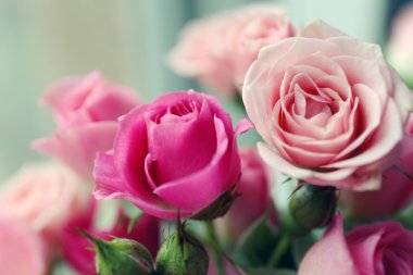 mooie roze rozen close-up