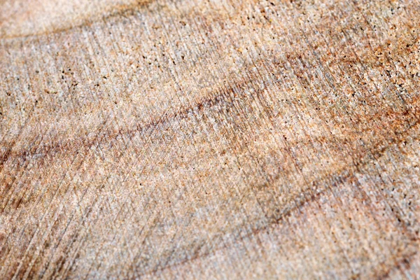 Tekstura drewna zbliżenie — Zdjęcie stockowe