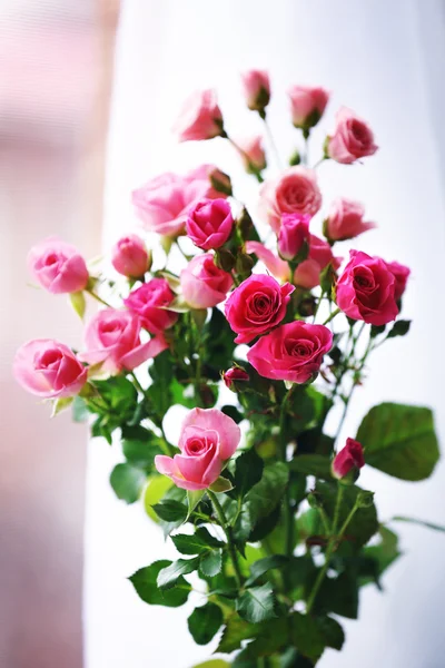 Hermosas rosas rosadas sobre fondo brillante — Foto de Stock