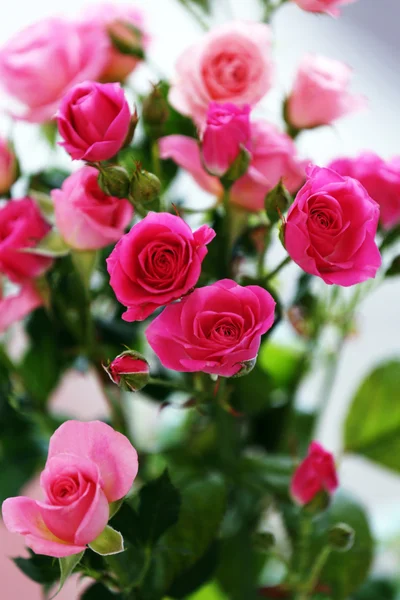 Hermosas rosas rosadas sobre fondo brillante —  Fotos de Stock