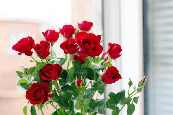 Красивые красные розы на ярком фоне — стоковое фото