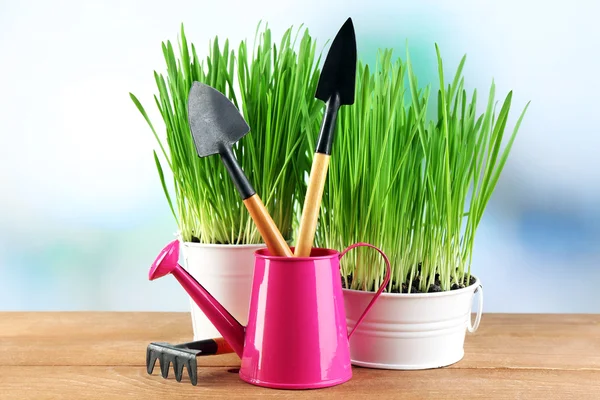 Fresh green grass in small metal buckets, watering can and garden tools on wooden table, on bright background — Stock Photo, Image