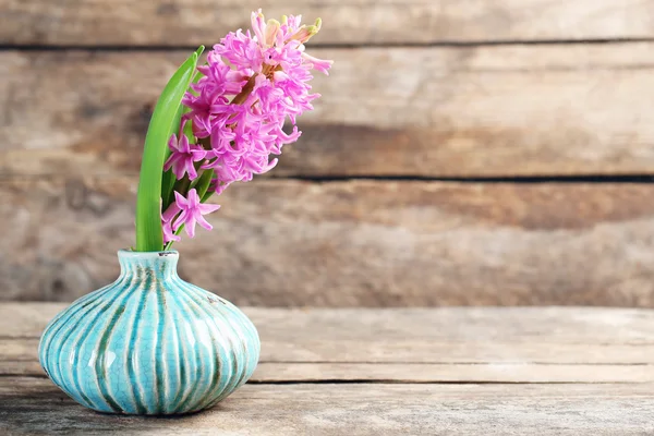 Schöne Hyazinthenblüte in Vase auf Holzgrund — Stockfoto