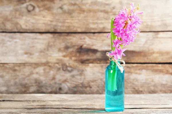 Beautiful hyacinth flower in vase on wooden background — Stock Photo, Image