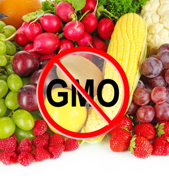 Hortalizas y frutas frescas sin gmo — Foto de Stock